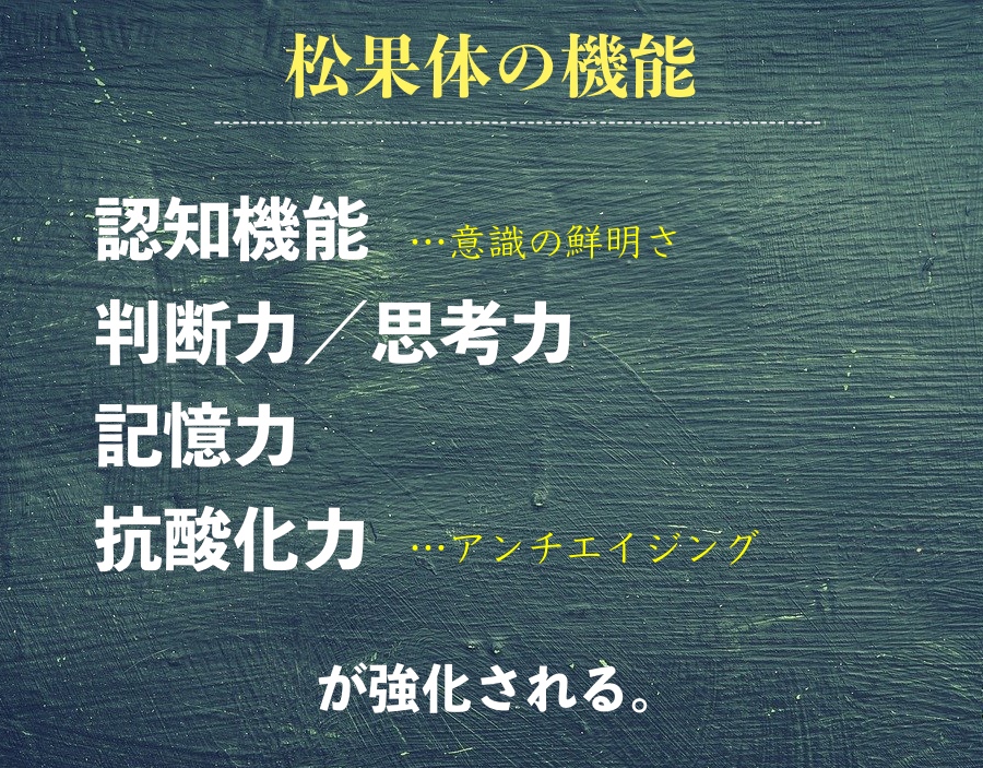 ［松果体の機能］①認知機能（意識の鮮明さ）②判断力／思考力③記憶力④アンチエイジング力　が強化される